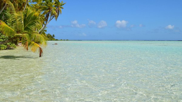 Comment le tourisme de proximité gagne-t-il en popularité?